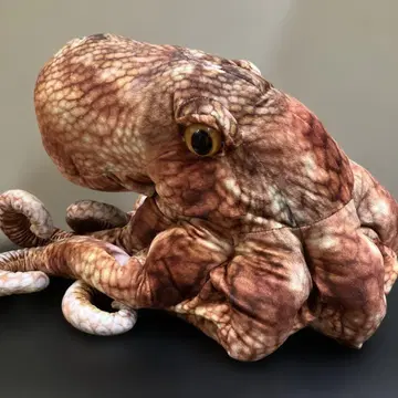 사카나 군 문어 봉제 인형