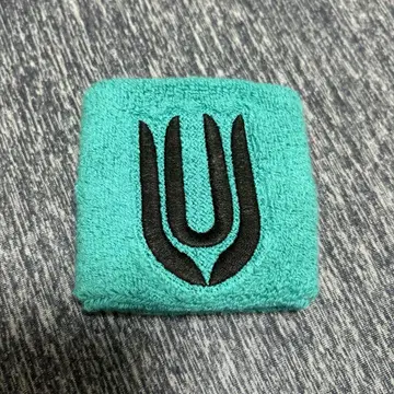 UNISON SQUARE GARDEN Dr.Izzy 리스트 밴드