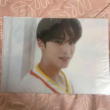 SEVENTEEN 민규 MINGYU home 클리어 파일