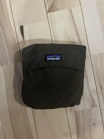 patagonia 캐리어 백