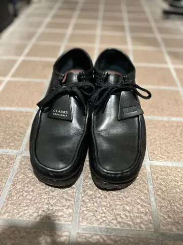 클락스 왈라비 가죽
