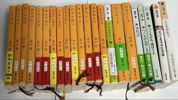하타나카 메구 27권 묶음 판매 ( 문고본 22권 단행본 5권 )