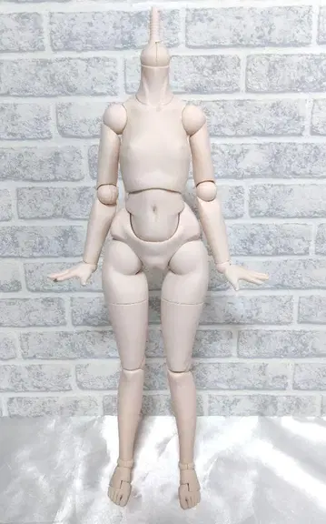 딜러제 바디 MDD 미니돌피드림