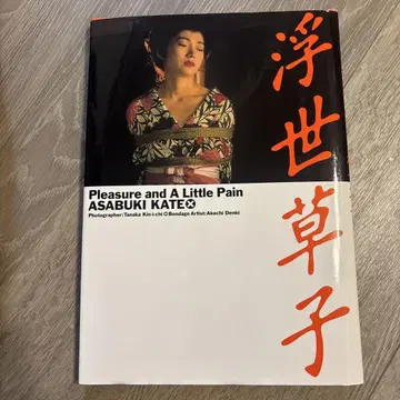 Pleasure and A Little Pain ASABUKI KATE