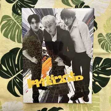 FTISLAND Instinct CD DVD 초회 한정판