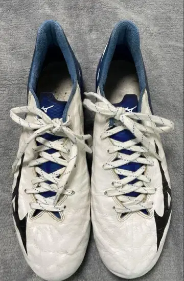 미즈노 리뷰어 3 V1JAPAN 26.5CM