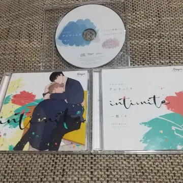 안티미테 CD 3장 세트 미치 이치노