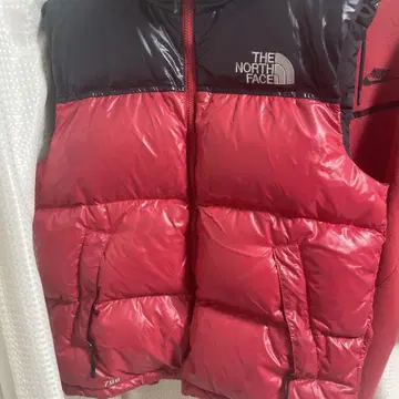 THE NORTH FACE 다운 베스트 빨검