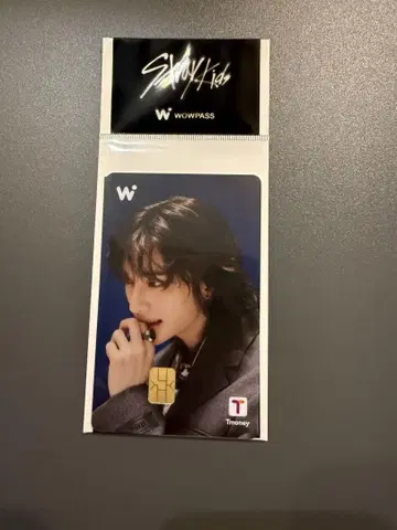 StrayKids WOWPASS 현진 스키즈 2