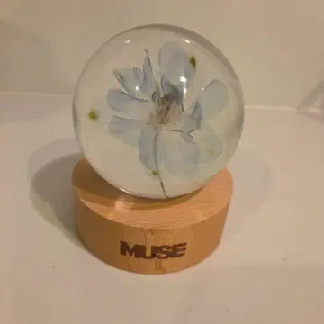 BTS 지민 MUSE 페이퍼 웨이트