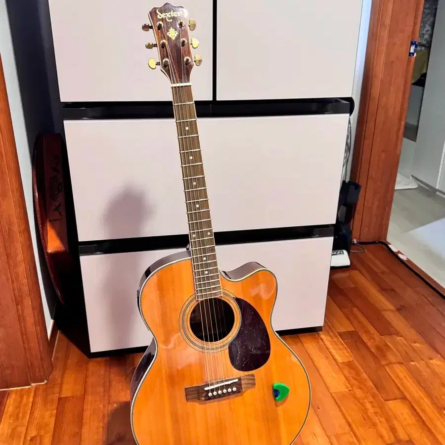 덱스터 DSJC-70SE 통기타 판매합니다