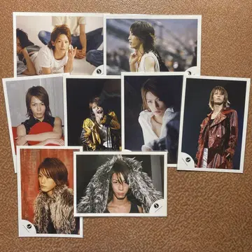 카메나시 카즈야 공식 사진 54장 세트