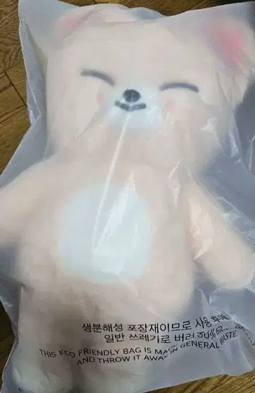StrayKids SKZOO 테디베어 아이엔 FoxINy
