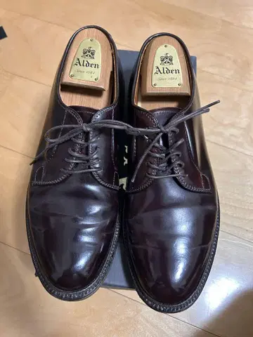 Alden 990 버건디 8E