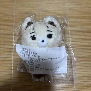 enhypen 니키 10cm 봉제 인형 아기퓨니