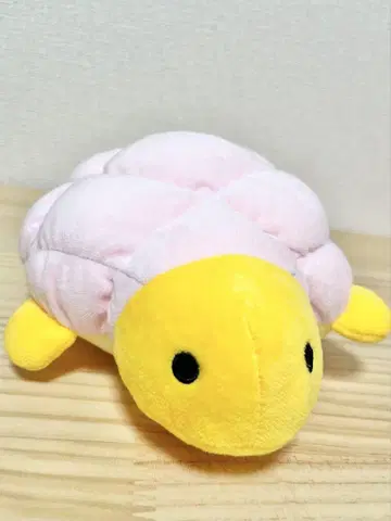 신에노시마 수족관 에노스이 봉제 인형 복권 카멜론빵 핑크 3등