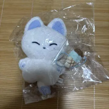enhypen 선우 봉제 인형 10cm 민트떠누