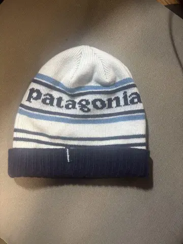 patagonia 스트라이프 니트 모자