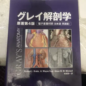 그레이 해부학