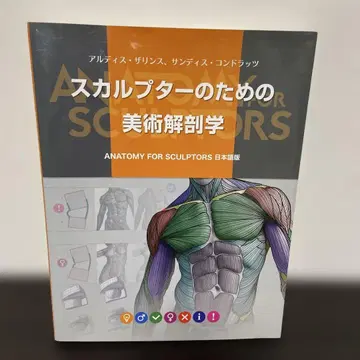 스컬프터를 위한 미술 해부학