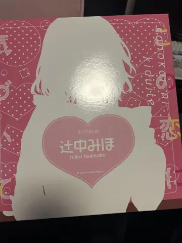 츠지나카 미호 피규어