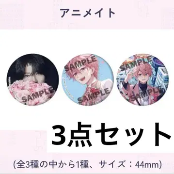 [ 3개 세트 ] 사토미 군 애니메이트 혜택 캔뱃지