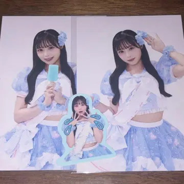 Pixelribbon 피쿠리보 하야마 물방울 브로마이드 스티커 세트
