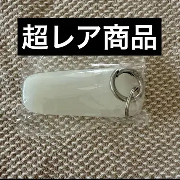 미사용 미개봉 새상품 트리덴 립 케이스 Torriden 키링