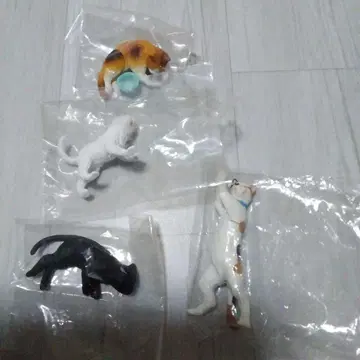 가챠 애프터 5의 고양이들 외 고양이 피규어 4체 세트