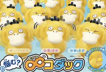 고민되니? 코닥 8마리