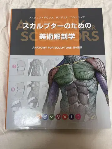 스컬프터를 위한 미술 해부학