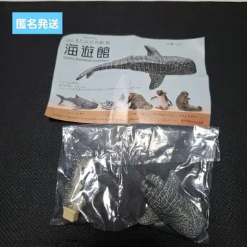 하시모토 미오의 조각 카이유칸 징베에 상어