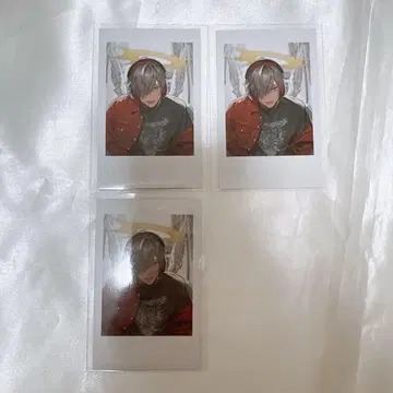 CrazyRaccoon 락의 날 폴라로이드 달마리즈갓
