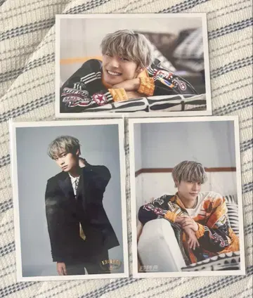 초특급 알로하 브로마이드