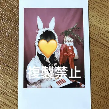 큐르링 해봐 시마무라 우타 폴라로이드 larme 라르무