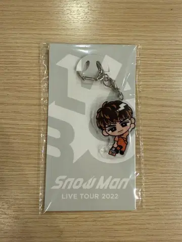 무카이 코지 SnowMan 스노치루 키링