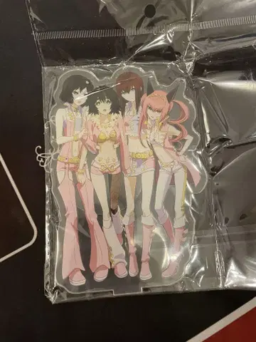 Steins;Gate 슈타인즈게이트 아크릴 스탠드 4인조