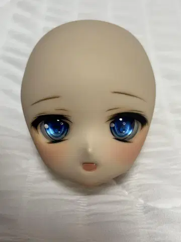 고객님 제작 F 피부 DDH-01