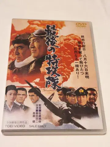 마지막 특공대 DVD