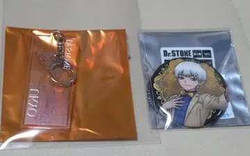 Dr.STONE 니시엔지 우쿄