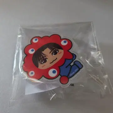 야기 유세이 플래그 액세서리