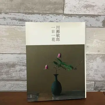 가와세 토시로 하루에 한 송이 꽃 신초샤