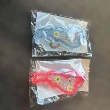 비와코 아크릴 키링