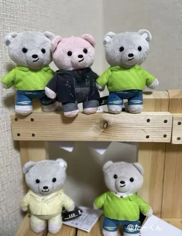BE:FIRST 곰 봉제 인형 5개