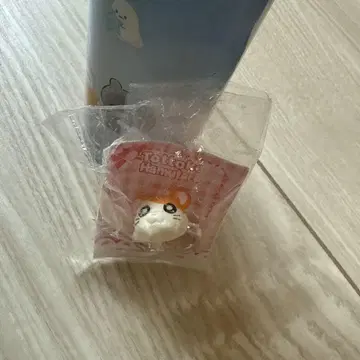 꼬꼬마 해모수 반지 레어 단종