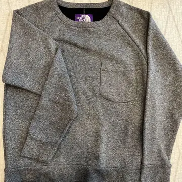 THE NORTH FACE PURPLE LABEL 크루넥 맨투맨