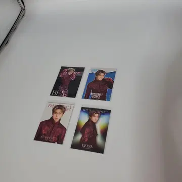 세구치 레이야 포토 카드 4장 세트