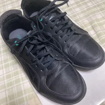 Mercedes AMG PETRONAS 스니커즈 블랙