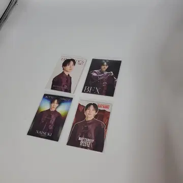 호리 나츠키 포토 카드 4장 세트