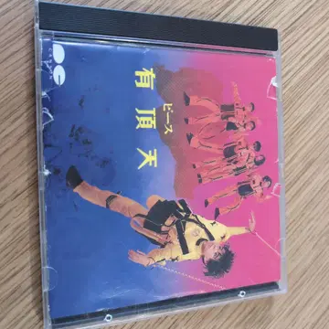 유정천 CD 피스